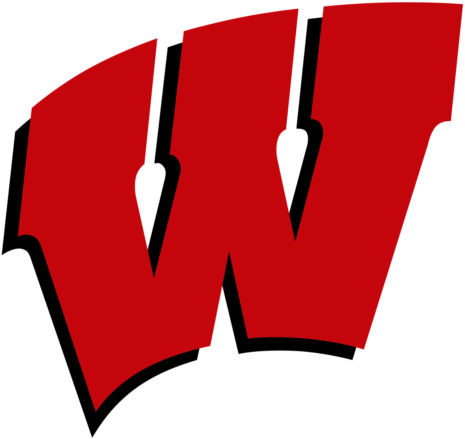 UNIVERSITY OF WISCONSIN